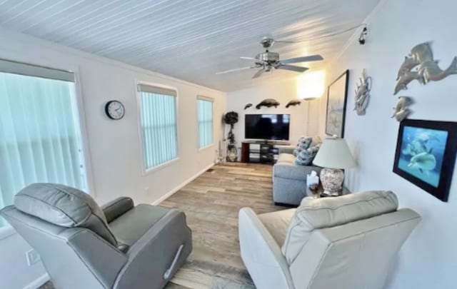 living room featuring ceiling fan, ornamental molding, and light wood-type flooring