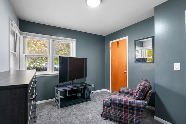 living area featuring carpet