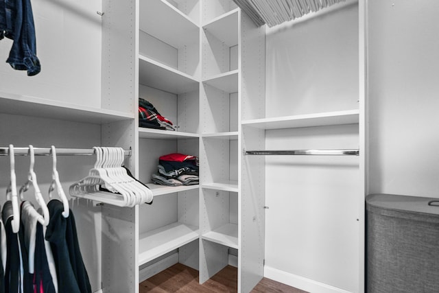 spacious closet with wood-type flooring