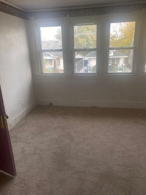 empty room featuring carpet floors