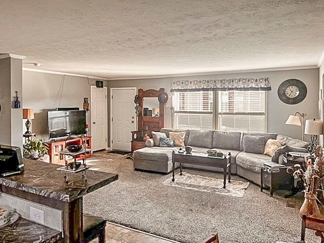 living room featuring carpet flooring, ornamental molding, and a textured ceiling