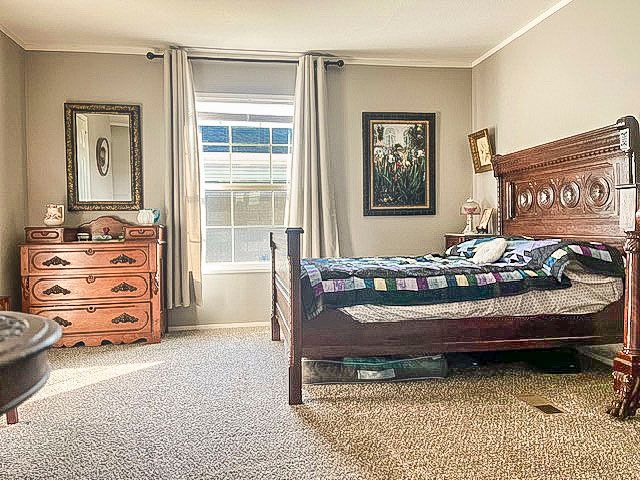 carpeted bedroom featuring ornamental molding