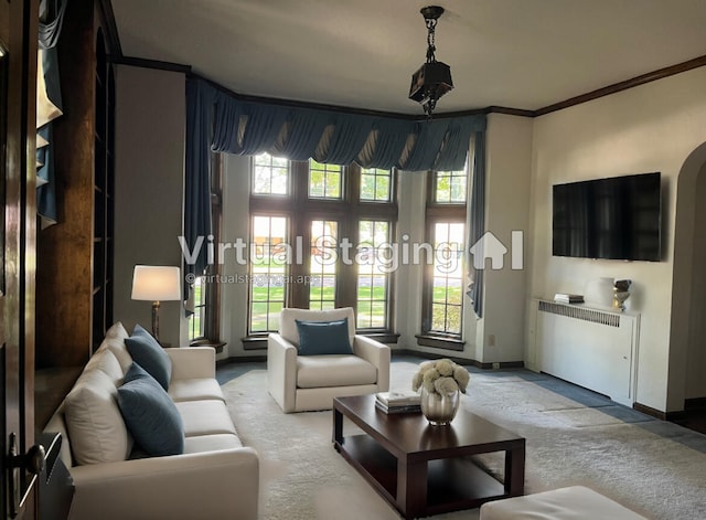 carpeted living room featuring a wealth of natural light and crown molding