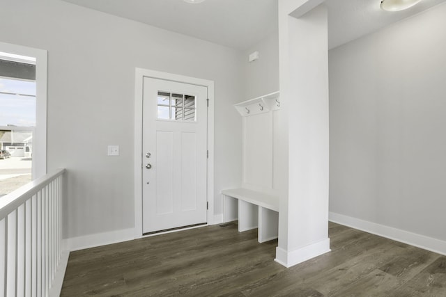 mudroom with dark wood-type flooring