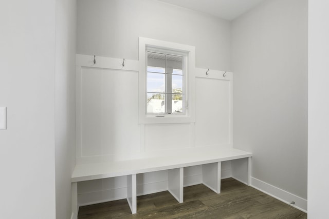 mudroom with dark wood-type flooring