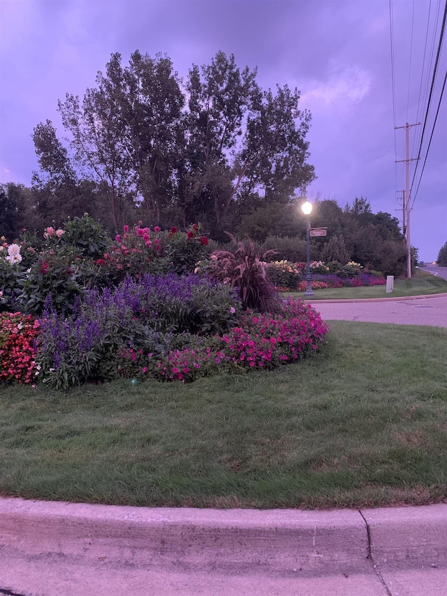 view of yard at dusk