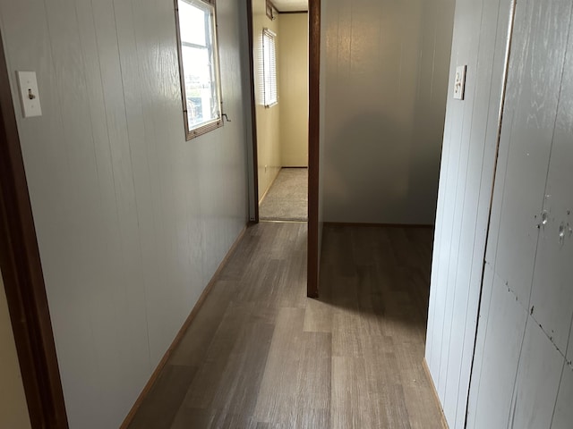 4465 Filter Rd, Harrison, MI 48625 - corridor with light wood finished floors and wood walls