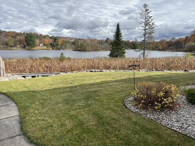 2819 W Shore Dr, Central Lake, MI 49622