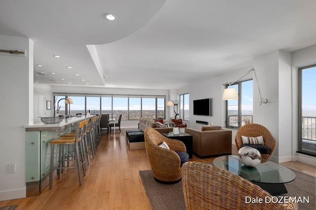 living room featuring light hardwood / wood-style flooring