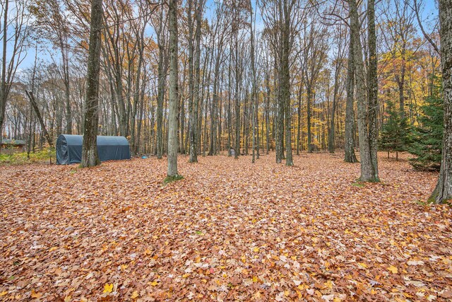 288 E 88th St, Newaygo, MI 49337 - view of yard