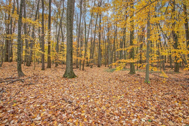 288 E 88th St, Newaygo, MI 49337 - view of woods