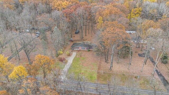 288 E 88th St, Newaygo, MI 49337 - view from above of property featuring a forest