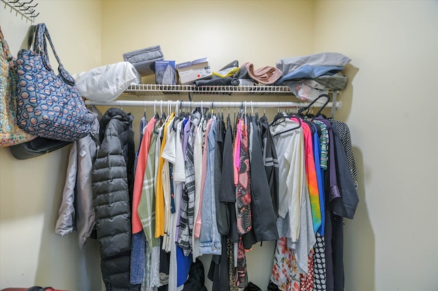 view of walk in closet