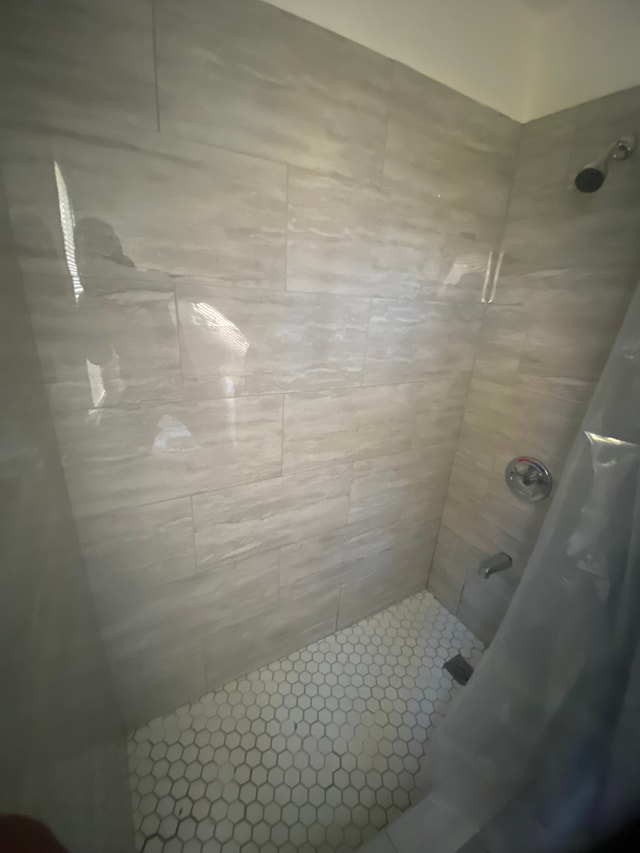 bathroom featuring a shower with shower curtain