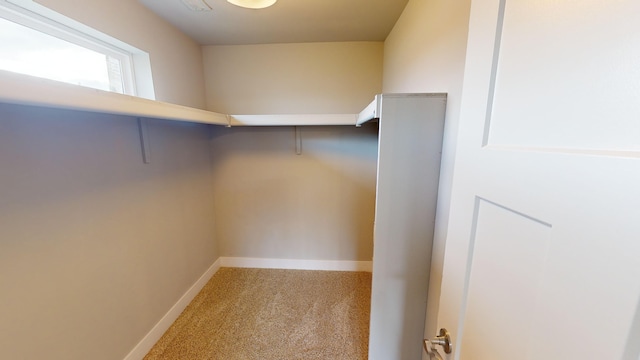 spacious closet with light carpet