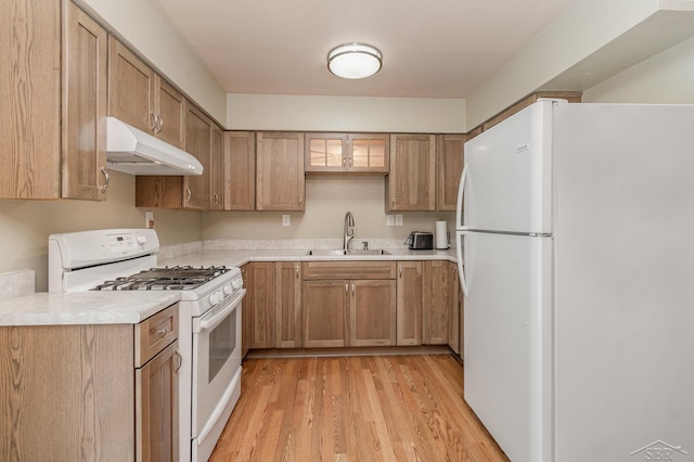 kitchen with sink, light hardwood / wood-style floors, and white appliances