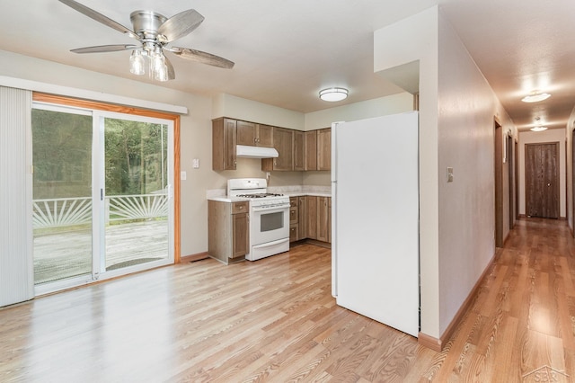 kitchen featuring ceiling fan, light hardwood / wood-style flooring, and white appliances