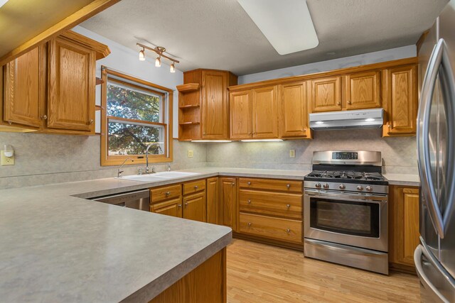 190 Steves Scenic Dr, Horton, MI 49246 - kitchen featuring under cabinet range hood, appliances with stainless steel finishes, a sink, light wood-style floors, and brown cabinetry