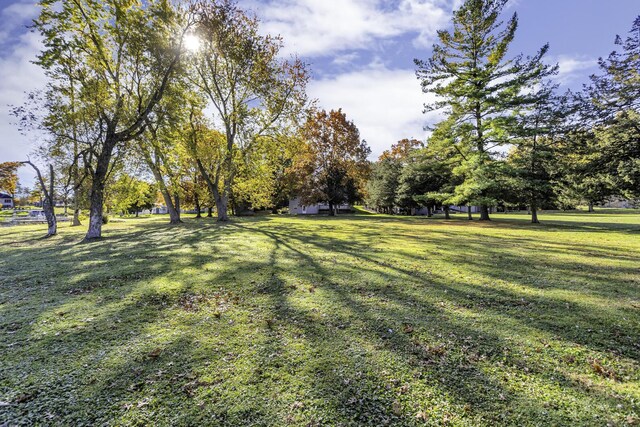 190 Steves Scenic Dr, Horton, MI 49246 - view of grassy yard