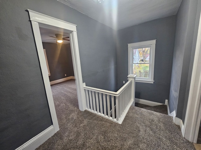 stairway featuring carpet flooring