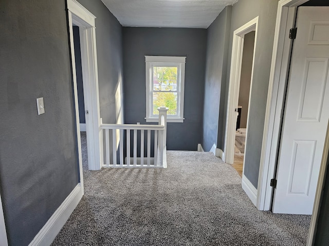 hallway with carpet floors