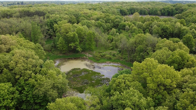 16460 15 Mile Rd, Marshall, MI 49068 - drone / aerial view of a heavily wooded area and a nearby body of water