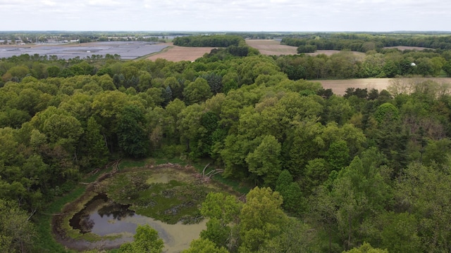 16460 15 Mile Rd, Marshall, MI 49068 - bird's eye view of a forest and a large body of water