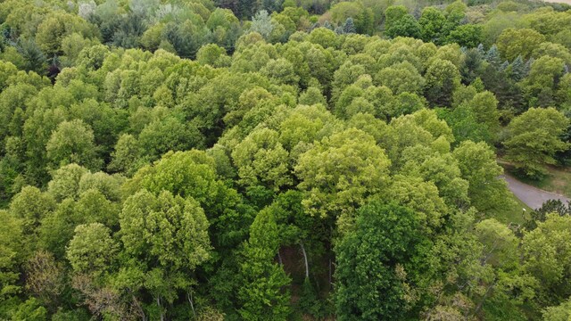 16460 15 Mile Rd, Marshall, MI 49068 - drone / aerial view of a forest