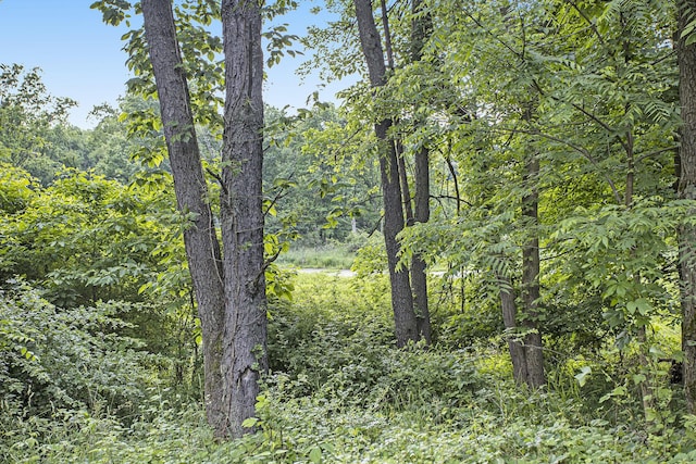 16460 15 Mile Rd, Marshall, MI 49068 - view of woods