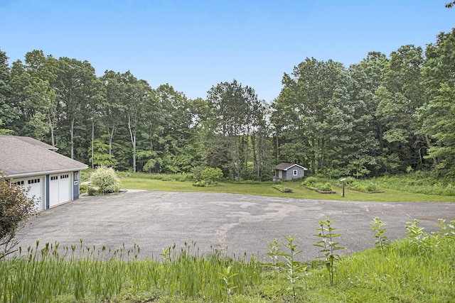 16460 15 Mile Rd, Marshall, MI 49068 - view of grassy yard with a garage, an outdoor structure, and a view of trees