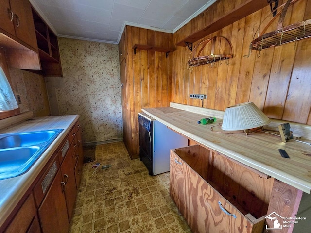 kitchen featuring wood walls, crown molding, and sink