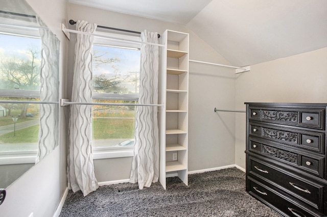 walk in closet featuring dark carpet and vaulted ceiling