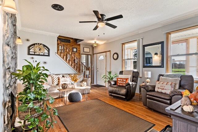 living room featuring hardwood / wood-style floors, a textured ceiling, ornamental molding, and a healthy amount of sunlight