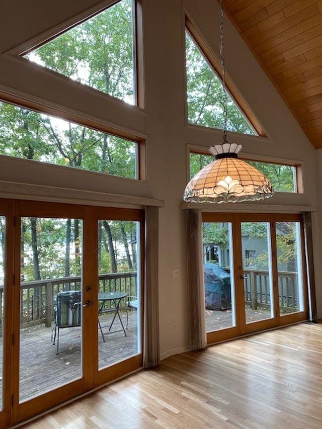 doorway to outside featuring a healthy amount of sunlight, high vaulted ceiling, and french doors