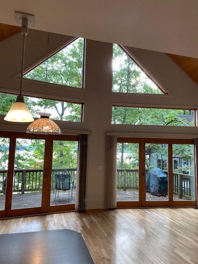 entryway with a healthy amount of sunlight and high vaulted ceiling