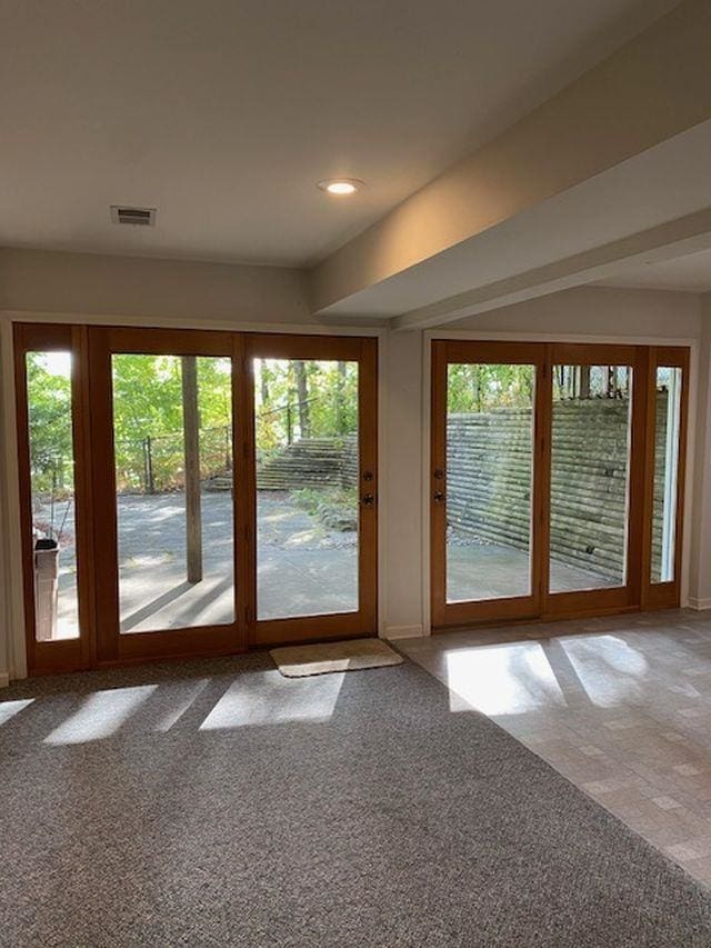 entryway with carpet and a wealth of natural light