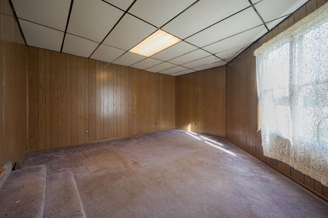 empty room featuring carpet and wooden walls