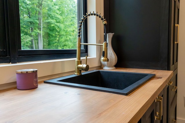 room details featuring butcher block counters and sink