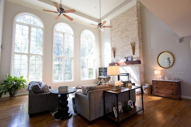 living room featuring a high ceiling, dark hardwood / wood-style flooring, and plenty of natural light