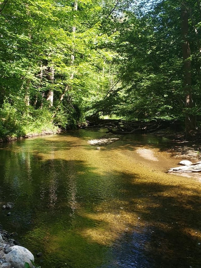 view of landscape with a water view