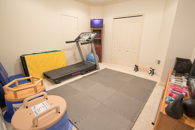 workout room featuring carpet flooring