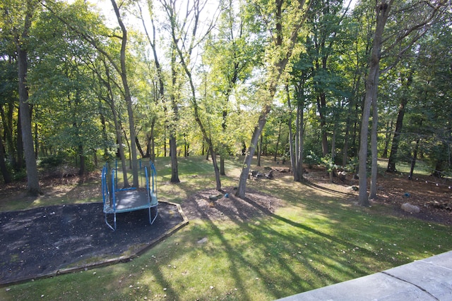 view of yard with a trampoline