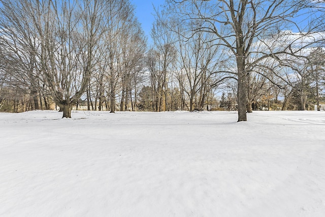 2399 S Cleveland Ave, Saint Joseph, MI 49085 - view of yard layered in snow