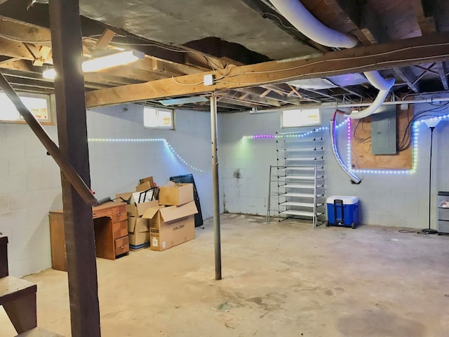 basement featuring electric panel