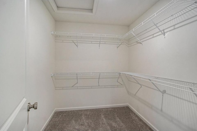 walk in closet with carpet