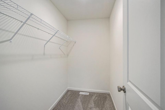 walk in closet featuring carpet floors