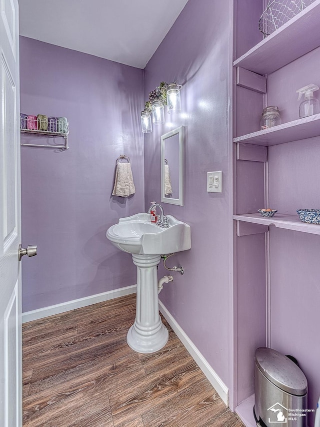 bathroom with hardwood / wood-style floors