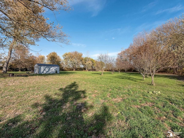 view of yard featuring a shed