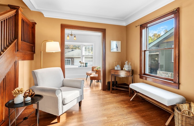 living area featuring a chandelier, light hardwood / wood-style floors, a wealth of natural light, and crown molding