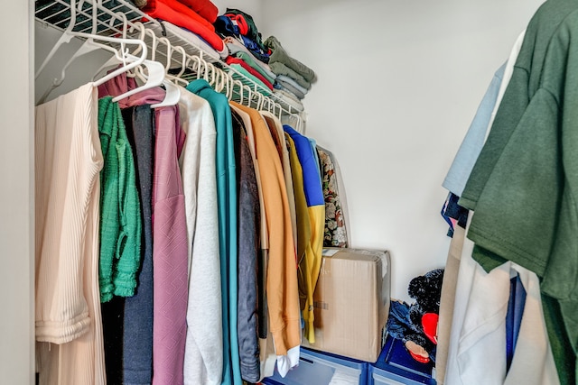 view of walk in closet